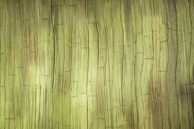 Faux Finish Painting detail